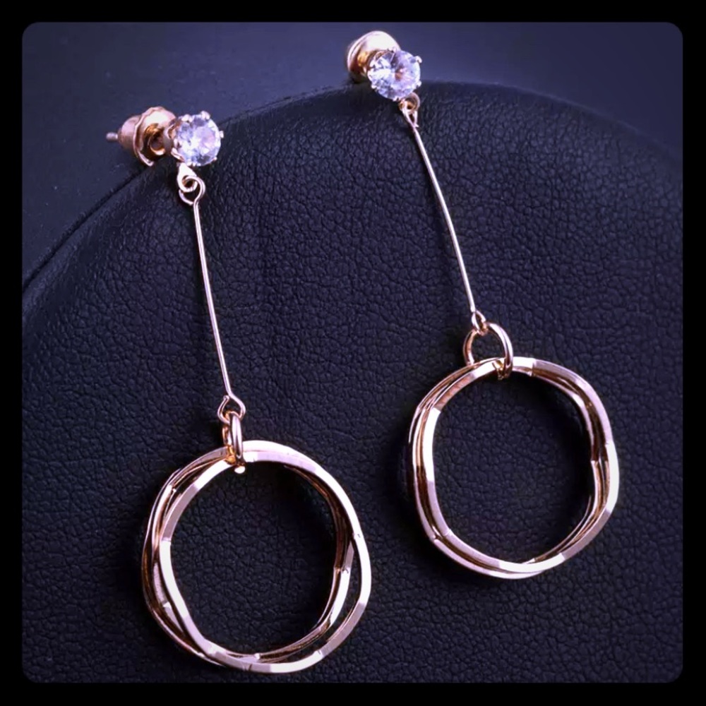 Fashion earrings